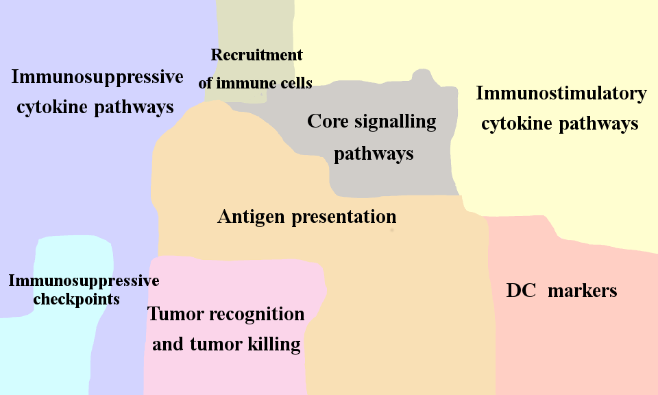 Dentritic Cell Map