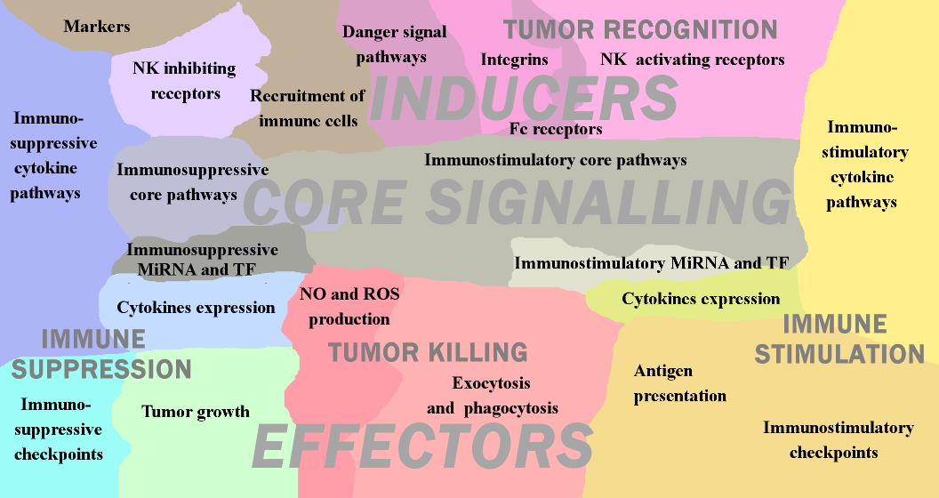 Innate immunity response in cancer meta-map