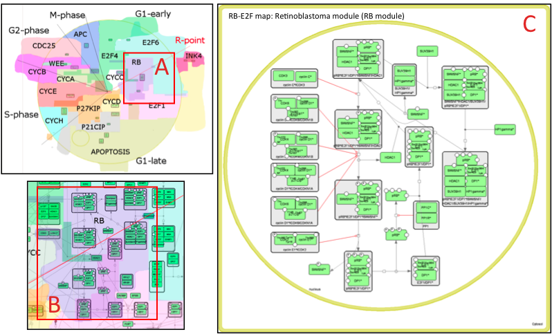 submaps